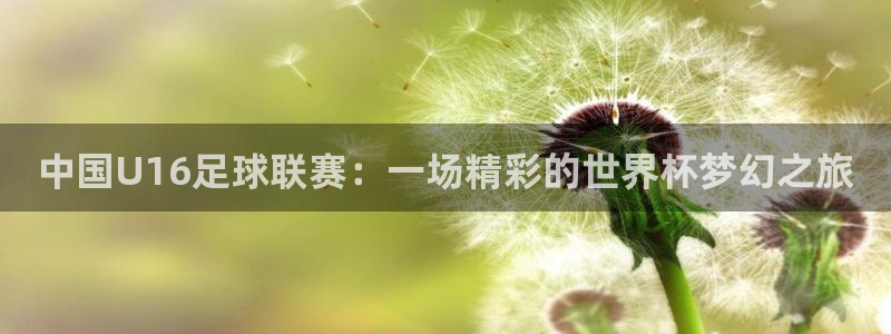 世俱杯直播：中国U16足球联赛：一场精彩的世界杯梦幻之旅