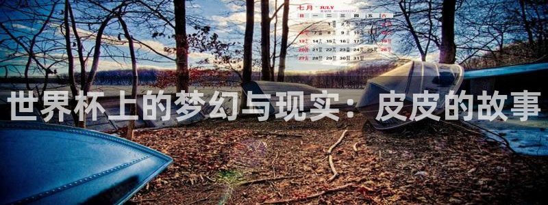 世界杯今日赛程直播：世界杯上的梦幻与现实：皮皮的故事