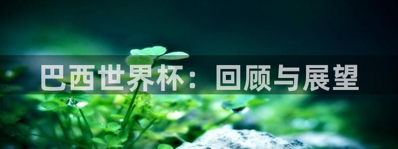 世界杯欧洲区世预赛赛程：巴西世界杯：回顾与展望