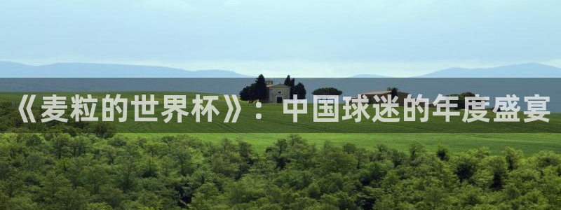 欧洲世预赛赛程表：《麦粒的世界杯》：中国球迷的年度盛宴