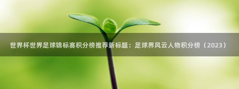 世界杯转播表：世界杯世界足球锦标赛积分榜推荐新标题：足球界风云人物积分榜（2023）