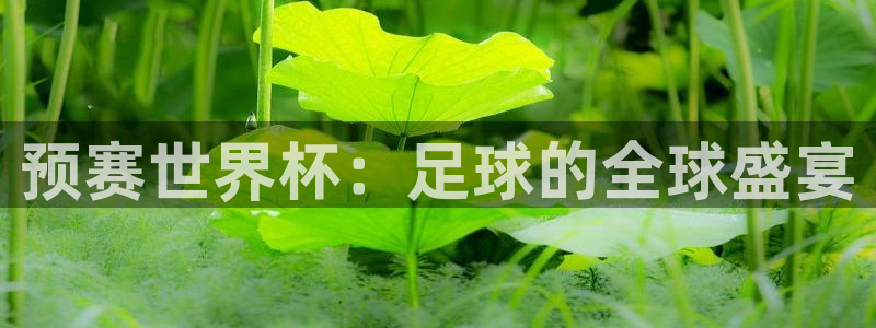 世界杯赛程表：预赛世界杯：足球的全球盛宴