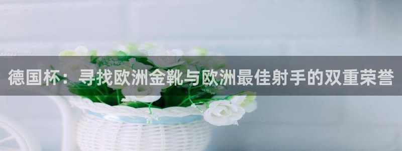 世界杯预选赛赛程表：德国杯：寻找欧洲金靴与欧洲最佳射手的双重荣誉