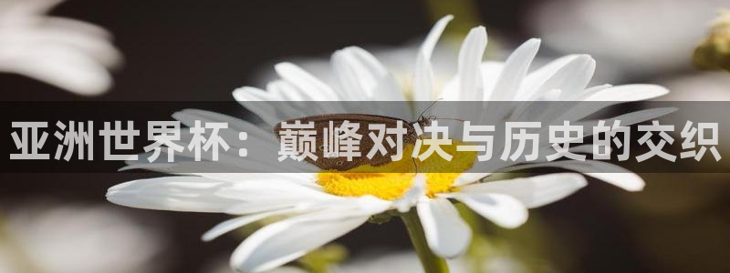 世界杯球队排名：亚洲世界杯：巅峰对决与历史的交织