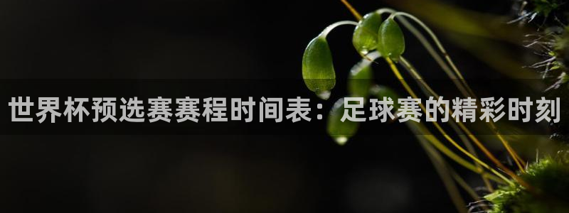世界杯预选赛规则：世界杯预选赛赛程时间表：足球赛的精彩时刻