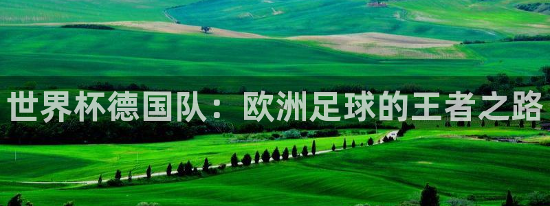 世界杯亚洲区预选赛赛程表：世界杯德国队：欧洲足球的王者之路