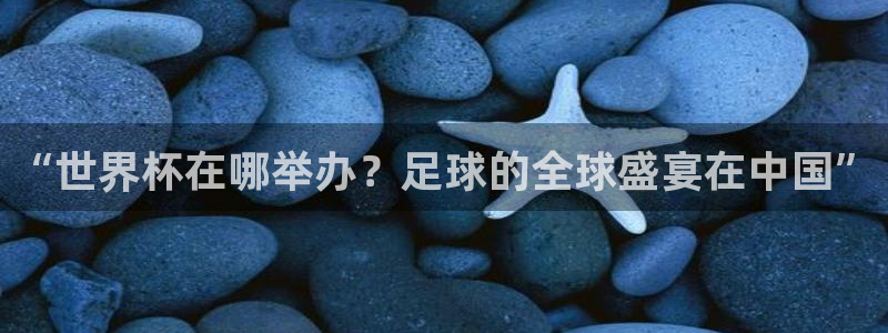 2026年世界杯直播平台：“世界杯在哪举办？足球的全球盛宴在中国”