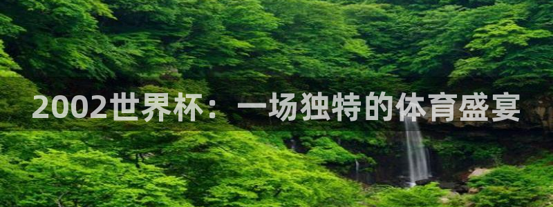 2026世界杯:2002世界杯:一场独特的体育盛宴