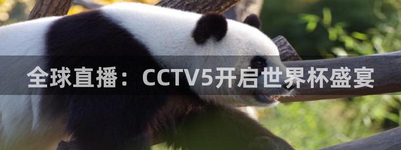 世界杯赛程表:全球直播:CCTV5开启世界杯盛宴