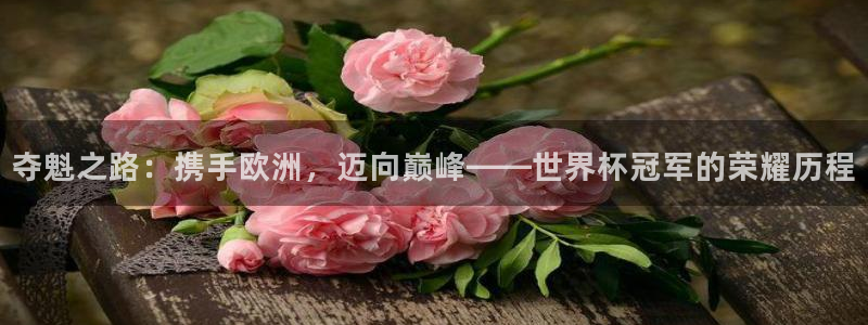 美国世界杯:夺魁之路:携手欧洲,迈向巅峰——世界杯冠军的荣耀历程