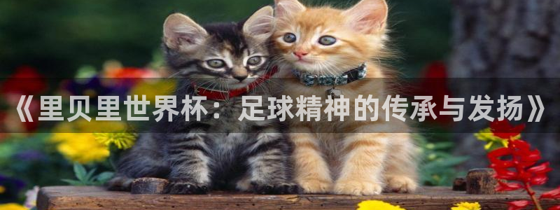世界杯欧洲区预选赛:《里贝里世界杯:足球精神的传承与发扬》