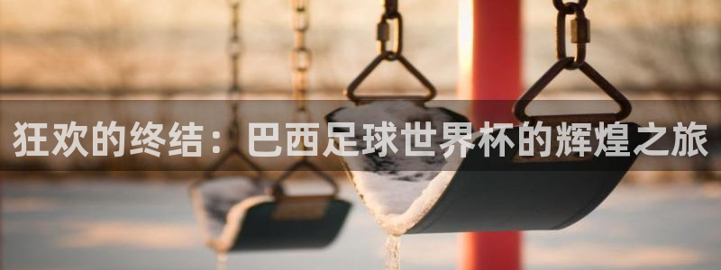 世界杯比赛:狂欢的终结:巴西足球世界杯的辉煌之旅